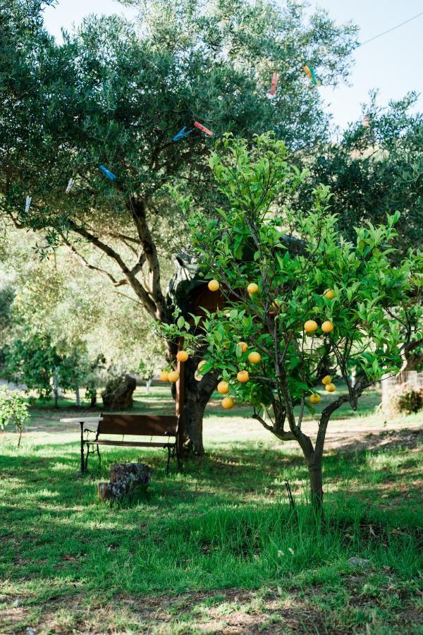 Villa Kallithea ปาร์กา ภายนอก รูปภาพ