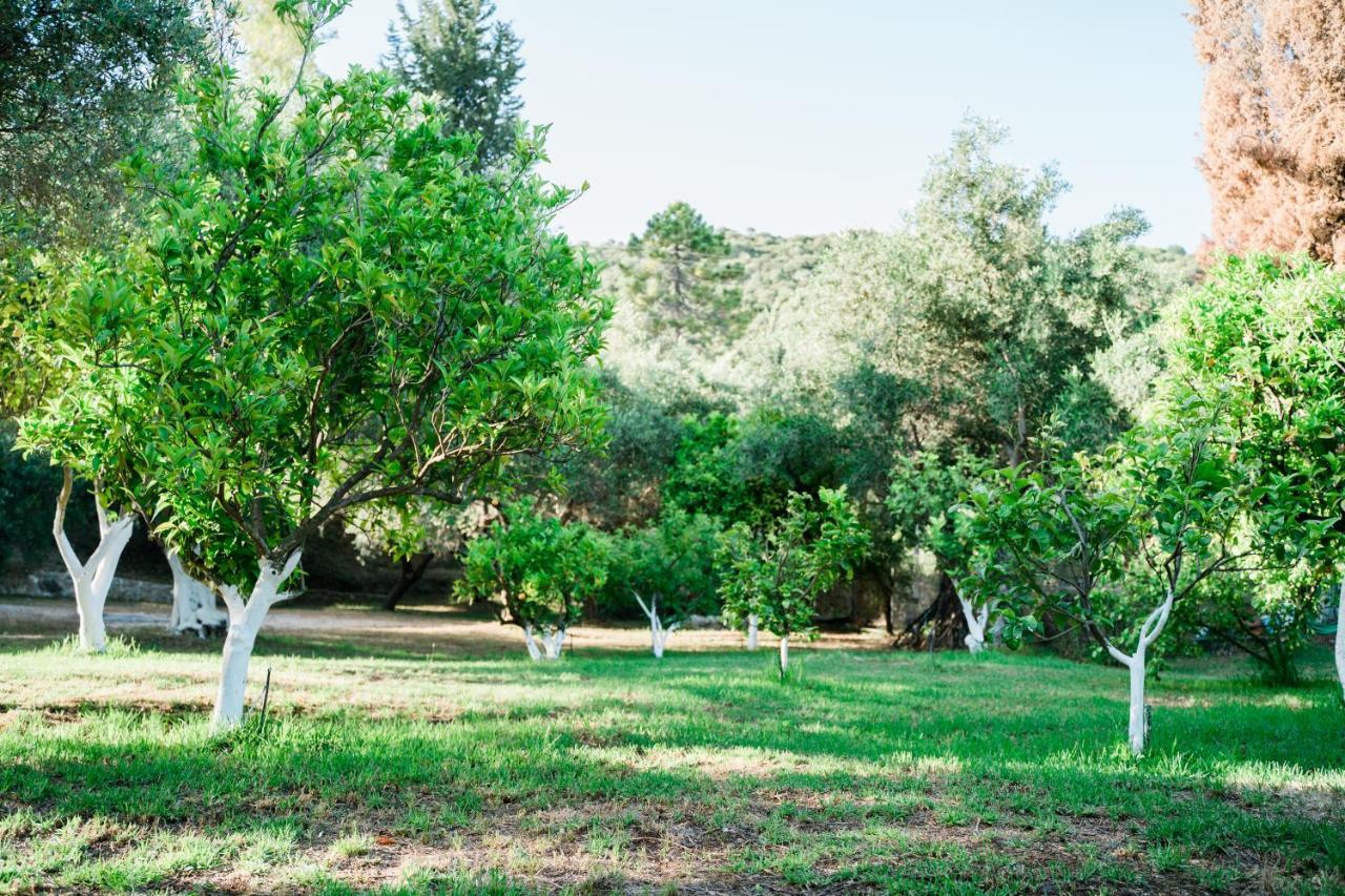 Villa Kallithea ปาร์กา ภายนอก รูปภาพ
