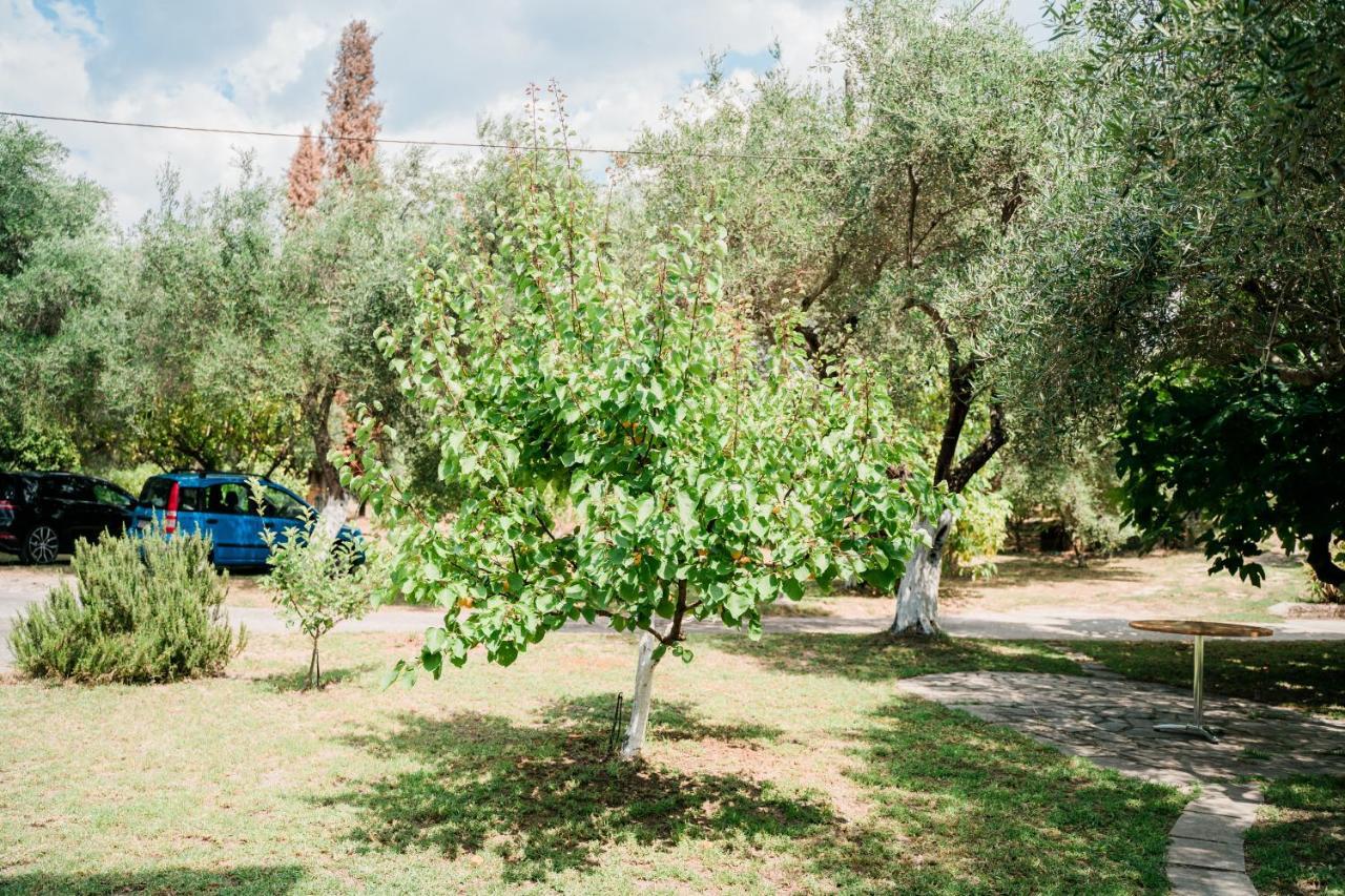 Villa Kallithea ปาร์กา ภายนอก รูปภาพ